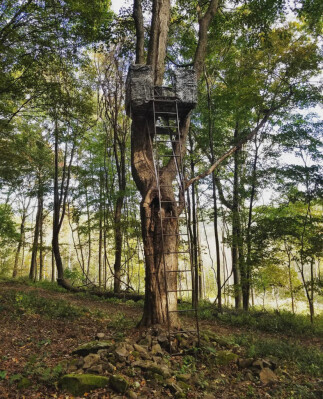 Custom built treestands make hunting comfortable and safe! You can say we are a little obsessed!